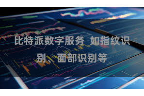 比特派数字服务 如指纹识别、面部识别等