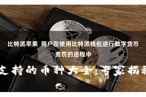 比特派苹果 用户在使用比特派钱包进行数字货币责罚的进程中