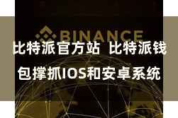 比特派官方站  比特派钱包撑抓IOS和安卓系统