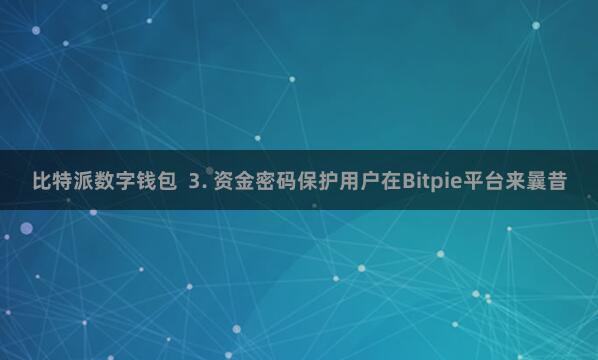 比特派数字钱包 3. 资金密码保护用户在Bitpie平台来曩昔