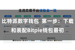 比特派数字钱包 第一步:下载和装配Bitpie钱包最初