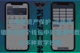 比特派资产保护 这使得用户不错在归拢个钱包中处治多种数字钞票