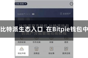 比特派生态入口 在Bitpie钱包中