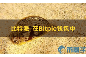 比特派 在Bitpie钱包中
