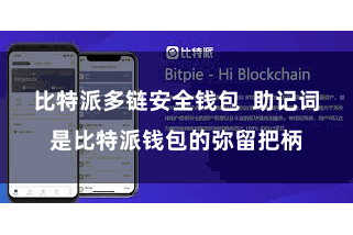 比特派多链安全钱包  助记词是比特派钱包的弥留把柄