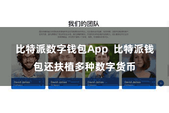 比特派数字钱包App  比特派钱包还扶植多种数字货币