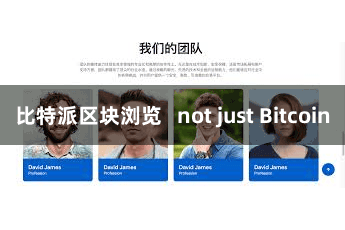 比特派区块浏览   not just Bitcoin