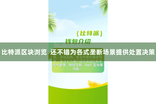 比特派区块浏览  还不错为各式垄断场景提供处置决策