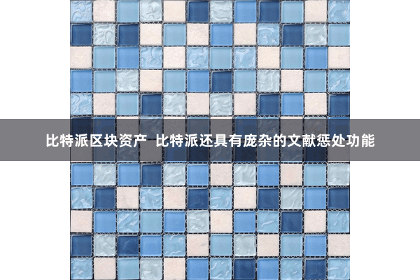 比特派区块资产 比特派还具有庞杂的文献惩处功能