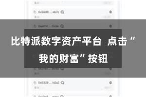 比特派数字资产平台  点击“我的财富”按钮