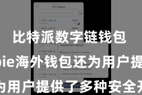 比特派数字链钱包  Bitpie海外钱包还为用户提供了多种安全开拓选项
